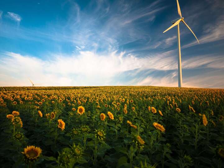 Energiespartipps für das Frische-Handwerk  